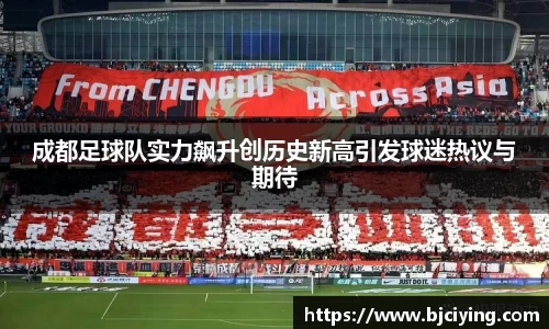 伟德bv国际体育